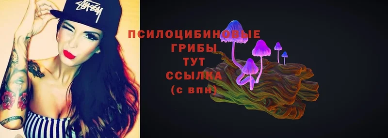 Галлюциногенные грибы Psilocybe  гидра tor  Тобольск 